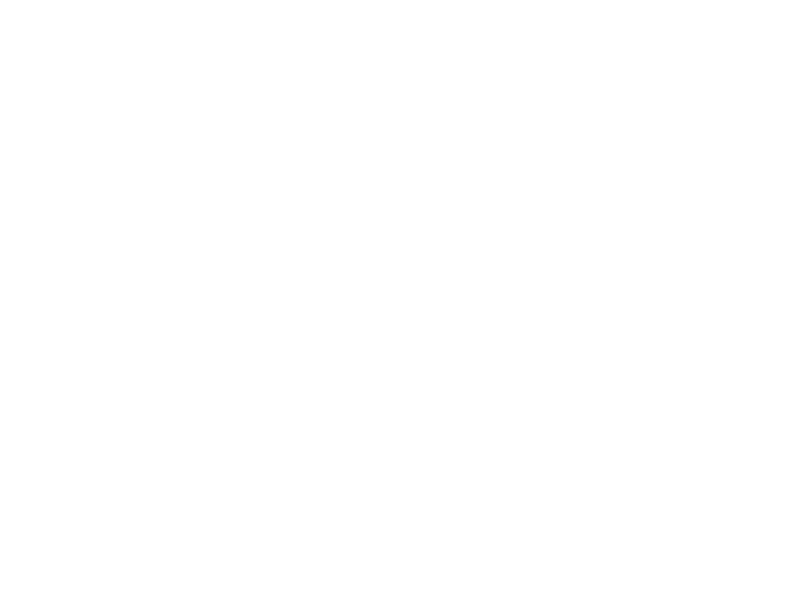 Arts Envoy